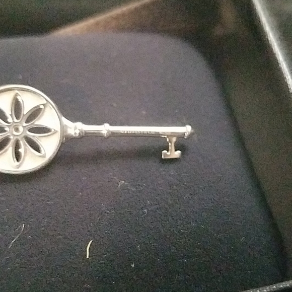 Tiffany &Co Small Daisy Key With Diamond - Picture 3 of 7